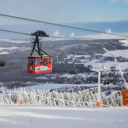 Rotbuche * Tannenberg