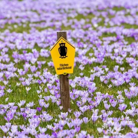 Rotbuche アパート *