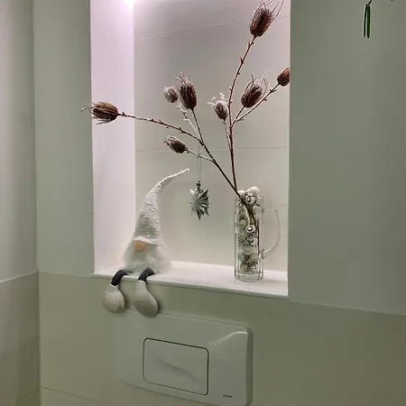 Rotbuche Apartment Tannenberg