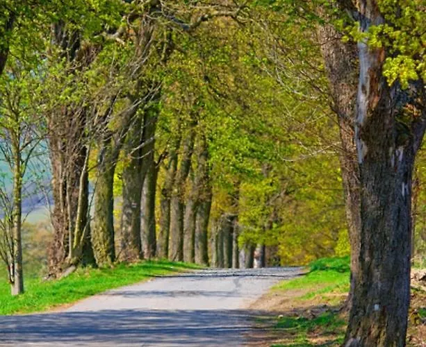 Apartament Rotbuche Tannenberg