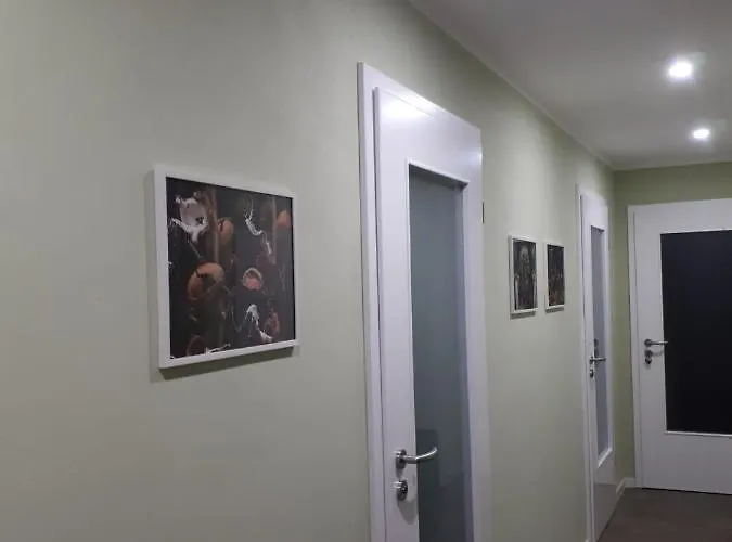 Rotbuche Apartament *