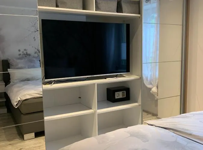 Rotbuche * Tannenberg