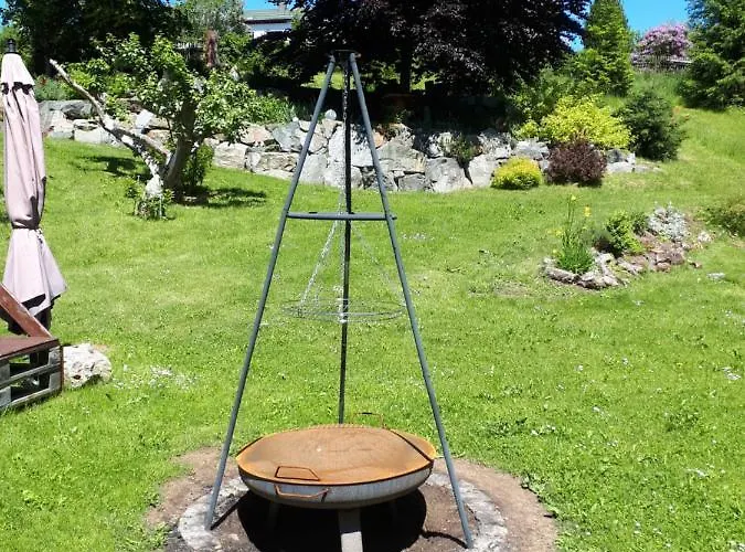 Rotbuche Tannenberg