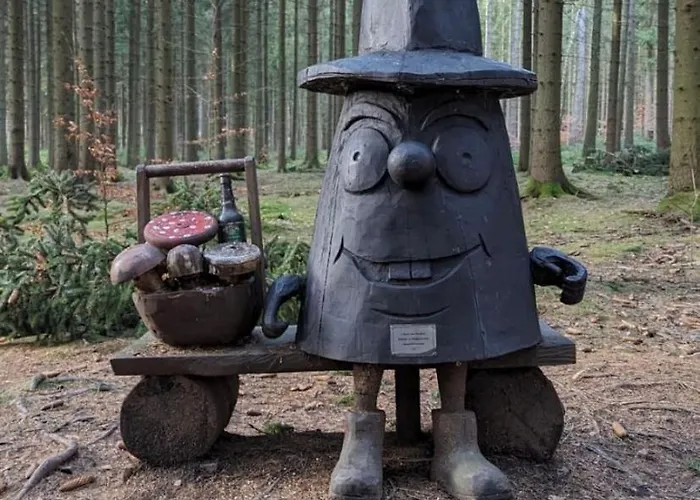 Rotbuche
